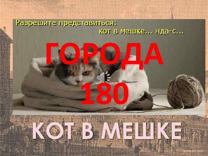 ГОРОДА 180 КОТ В МЕШКЕ 