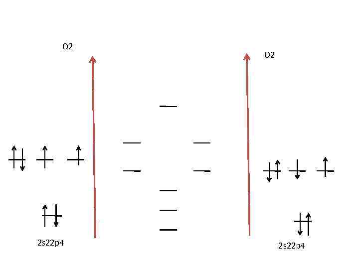 O 2 2 s 22 p 4 