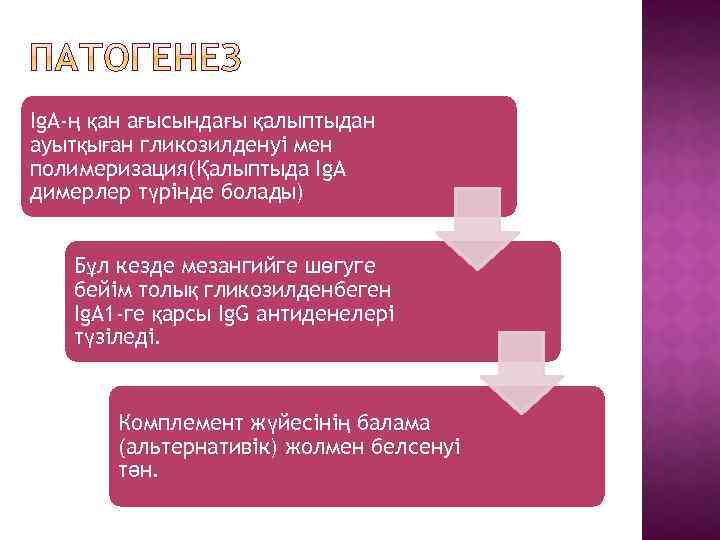 Іg. A-ң қан ағысындағы қалыптыдан ауытқыған гликозилденуі мен полимеризация(Қалыптыда Ig. A димерлер түрінде болады)
