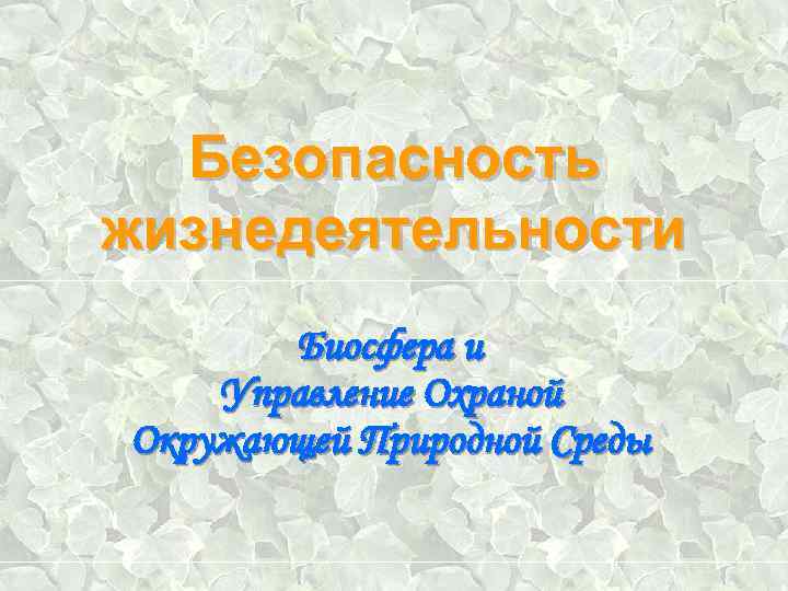 Безопасность жизнедеятельности Биосфера и Управление Охраной Окружающей Природной Среды 