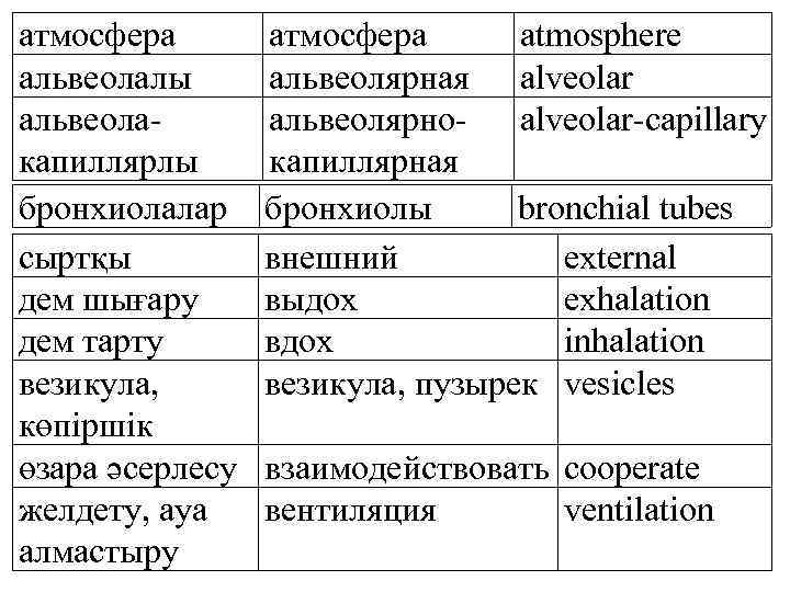 атмосфера альвеолалы альвеолакапиллярлы бронхиолалар сыртқы дем шығару дем тарту везикула, көпіршік өзара әсерлесу желдету,