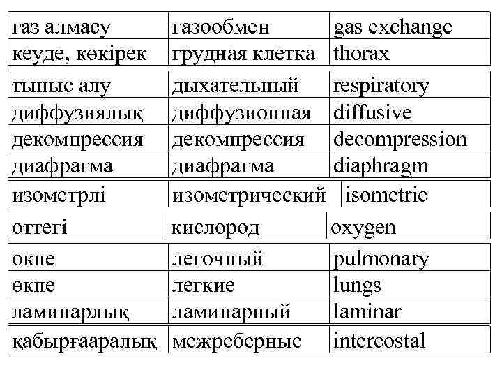 газ алмасу кеуде, көкірек тыныс алу диффузиялық декомпрессия диафрагма изометрлі оттегі өкпе ламинарлық қабырғааралық