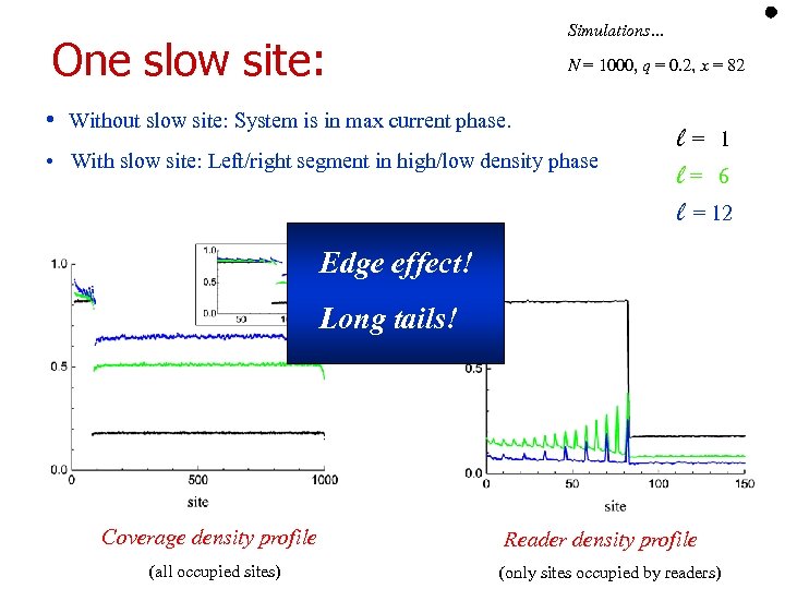 Simulations… One slow site: N = 1000, q = 0. 2, x = 82