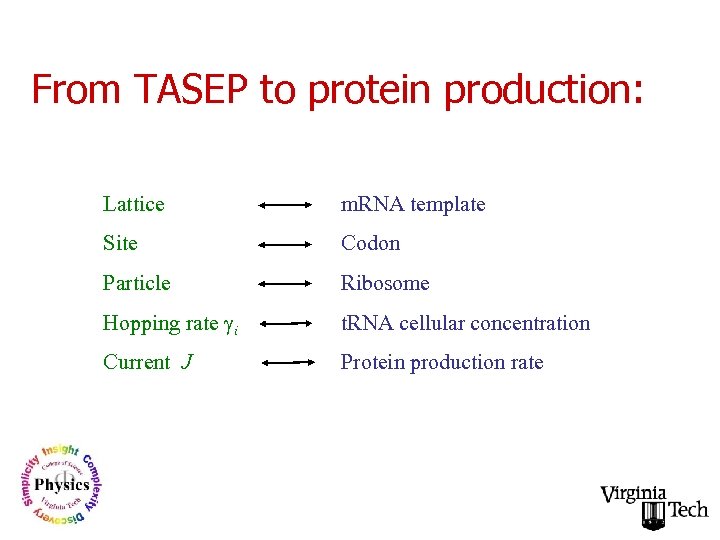 From TASEP to protein production: Lattice m. RNA template Site Codon Particle Ribosome Hopping