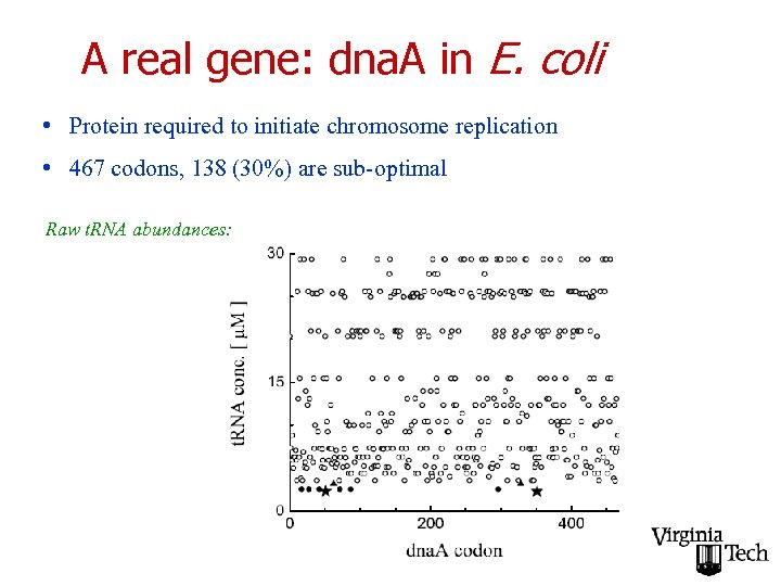 A real gene: dna. A in E. coli • Protein required to initiate chromosome