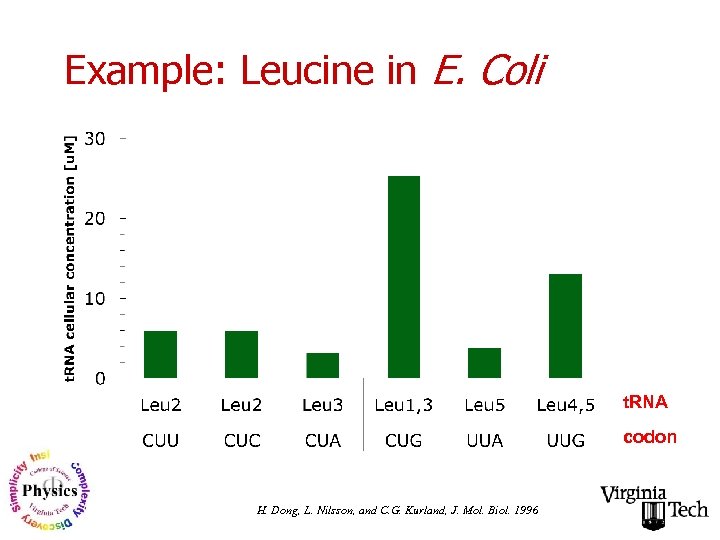 Example: Leucine in E. Coli t. RNA codon H. Dong, L. Nilsson, and C.