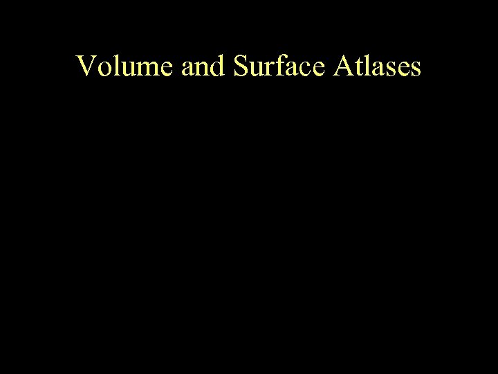 Volume and Surface Atlases 