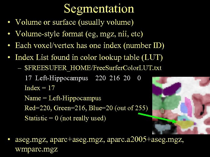 Segmentation • • Volume or surface (usually volume) Volume-style format (eg, mgz, nii, etc)