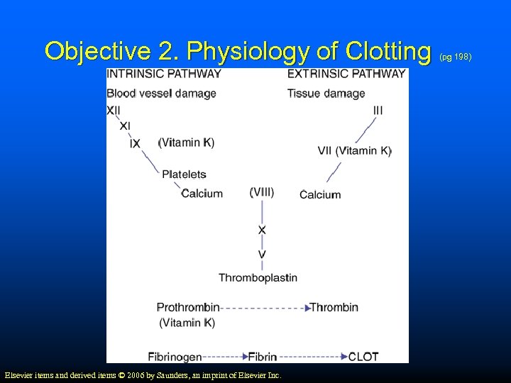 Objective 2. Physiology of Clotting Elsevier items and derived items © 2006 by Saunders,