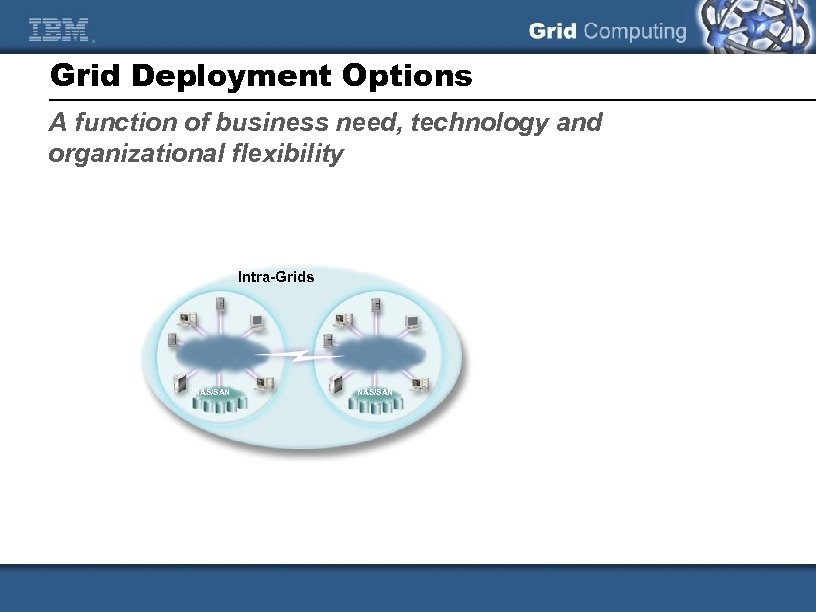 Grid Deployment Options A function of business need, technology and organizational flexibility Intra-Grids NAS/SAN