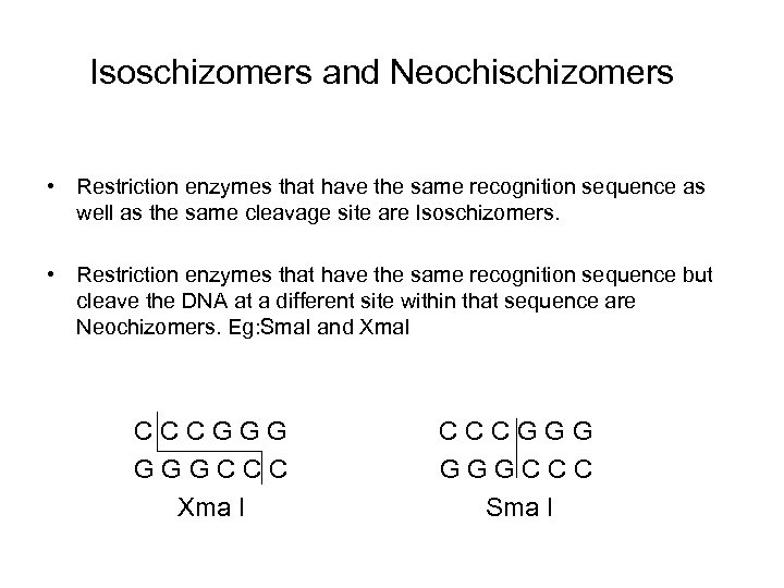 Isoschizomers and Neochischizomers • Restriction enzymes that have the same recognition sequence as well