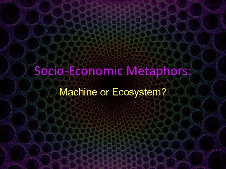 Socio-Economic Metaphors: Machine or Ecosystem? 