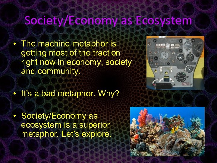 Society/Economy as Ecosystem • The machine metaphor is getting most of the traction right