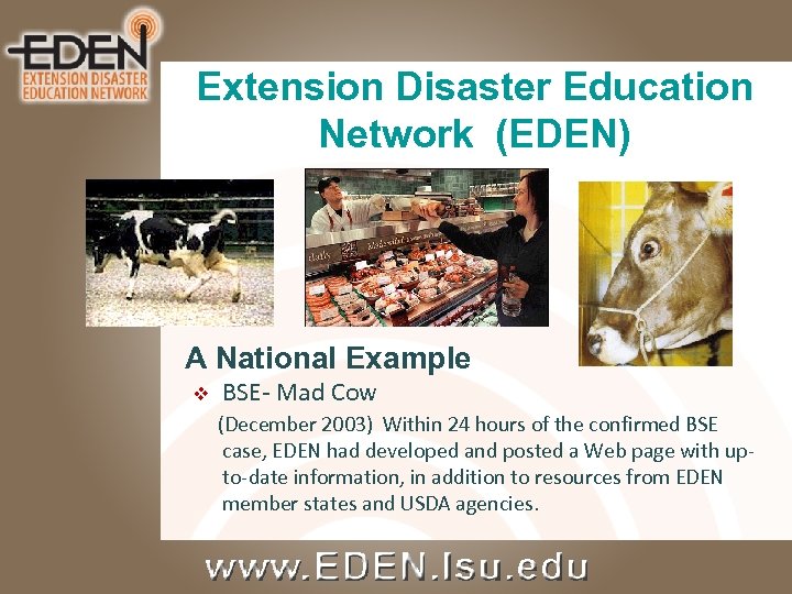Extension Disaster Education Network (EDEN) A National Example v BSE- Mad Cow (December 2003)