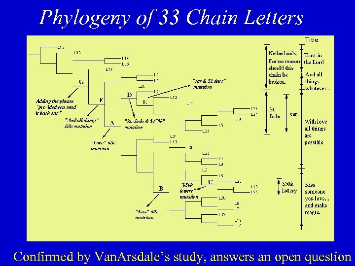 Phylogeny of 33 Chain Letters Confirmed by Van. Arsdale’s study, answers an open question