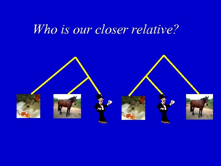 Who is our closer relative? 