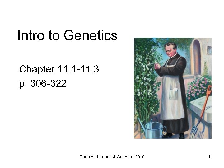 Intro to Genetics Chapter 11. 1 -11. 3 p. 306 -322 Chapter 11 and
