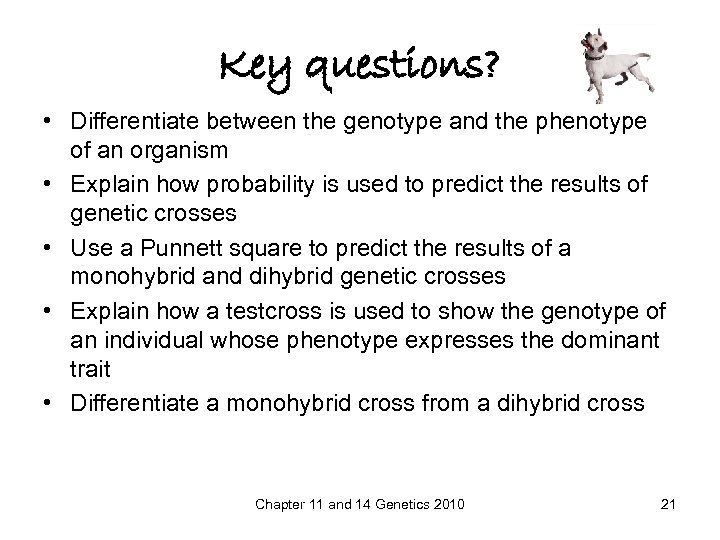 Key questions? • Differentiate between the genotype and the phenotype of an organism •