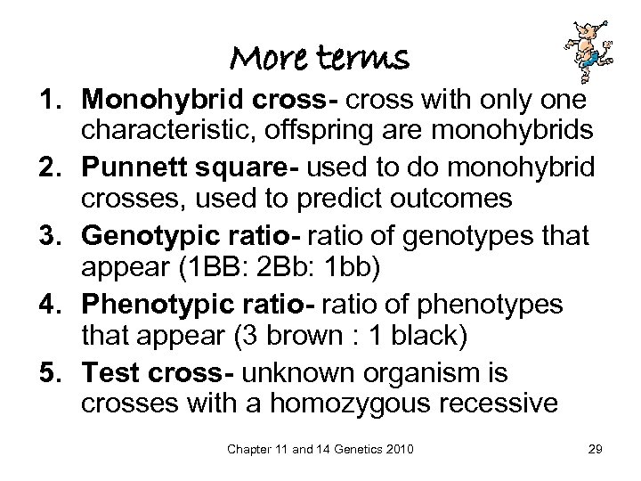 More terms 1. Monohybrid cross- cross with only one characteristic, offspring are monohybrids 2.