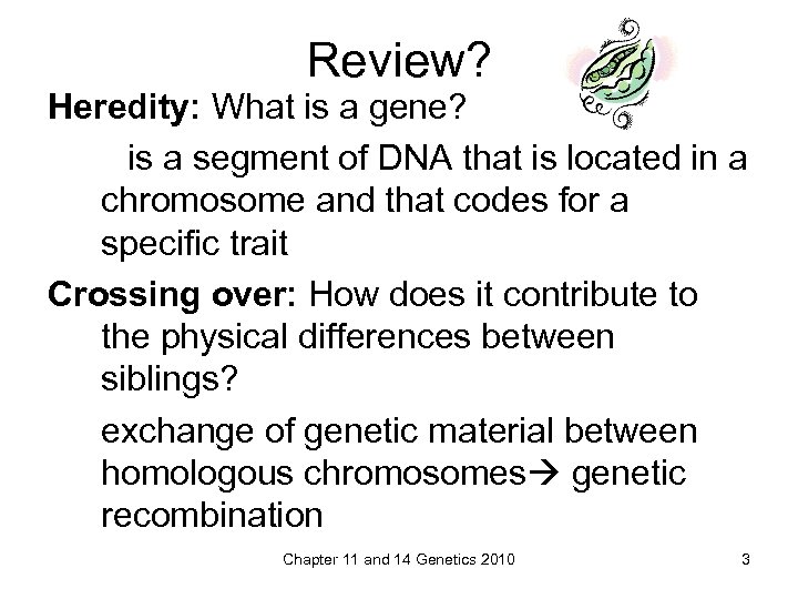 Review? Heredity: What is a gene? is a segment of DNA that is located