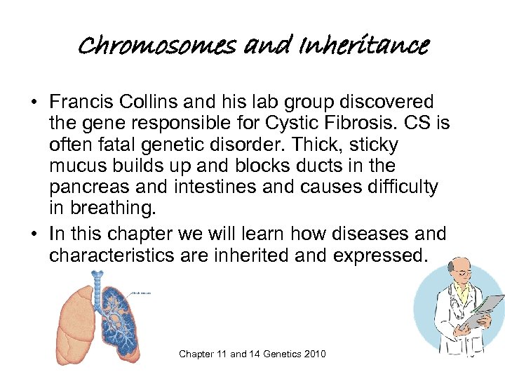 Chromosomes and Inheritance • Francis Collins and his lab group discovered the gene responsible