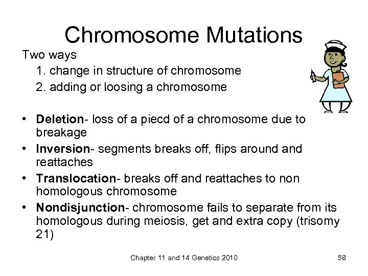 Chromosome Mutations Two ways 1. change in structure of chromosome 2. adding or loosing