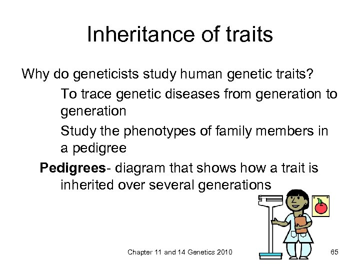 Inheritance of traits Why do geneticists study human genetic traits? To trace genetic diseases