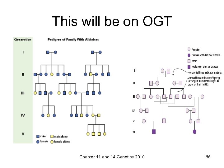 This will be on OGT Chapter 11 and 14 Genetics 2010 66 