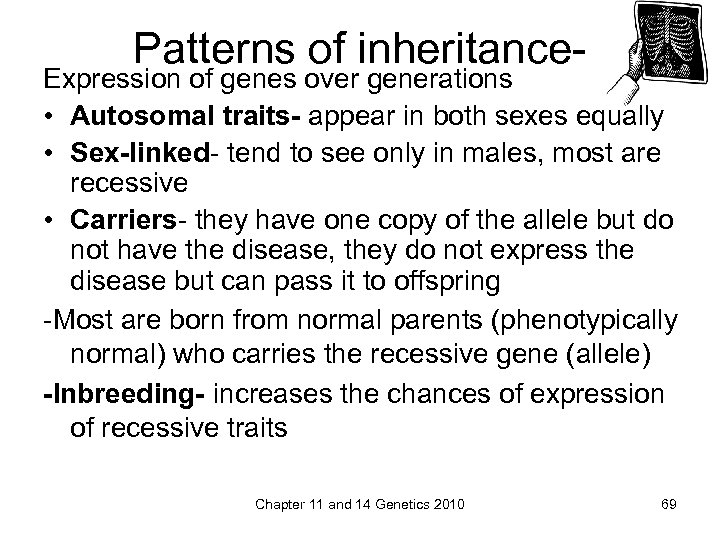 Patterns of inheritance- Expression of genes over generations • Autosomal traits- appear in both