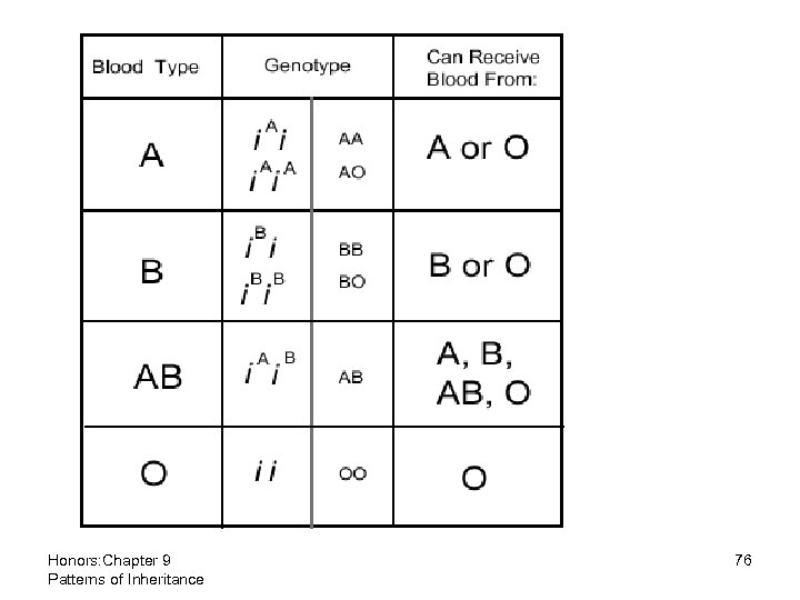 Honors: Chapter 9 Patterns of Inheritance 76 