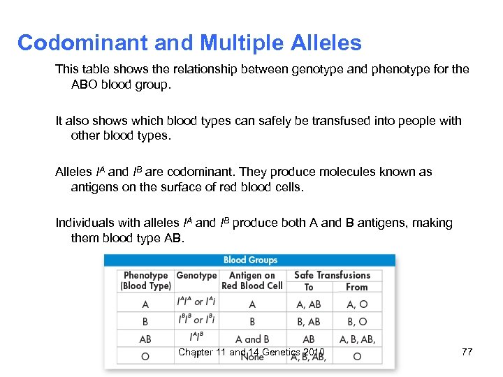 Codominant and Multiple Alleles This table shows the relationship between genotype and phenotype for