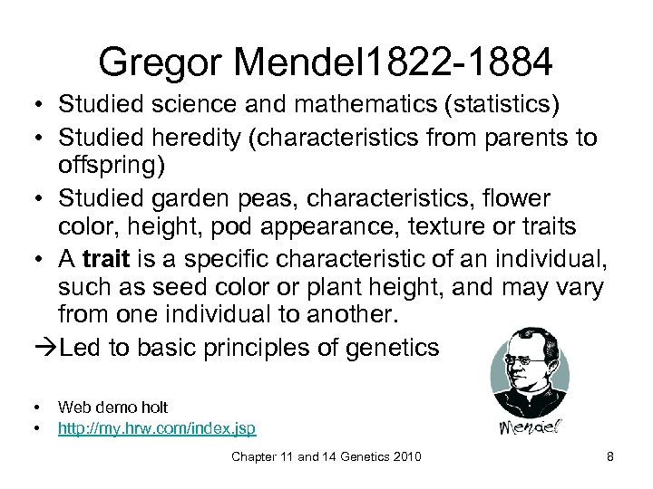 Gregor Mendel 1822 -1884 • Studied science and mathematics (statistics) • Studied heredity (characteristics