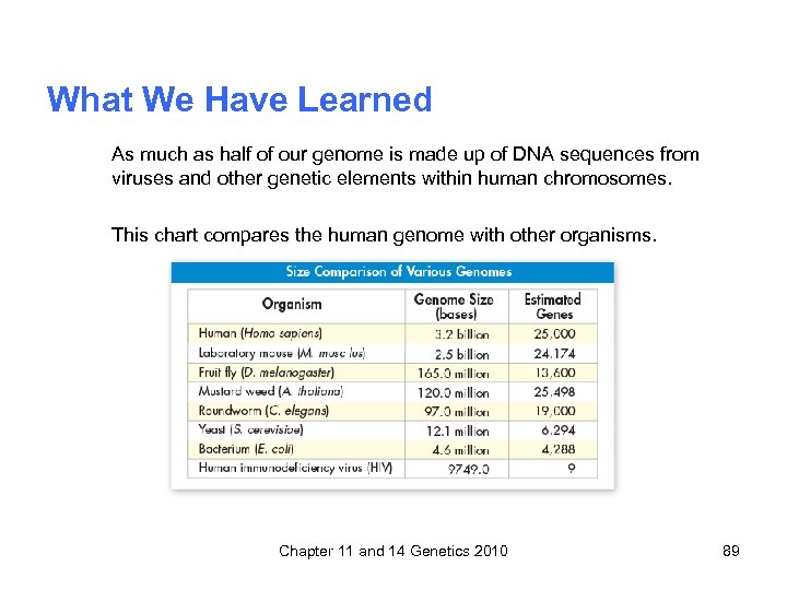 What We Have Learned As much as half of our genome is made up