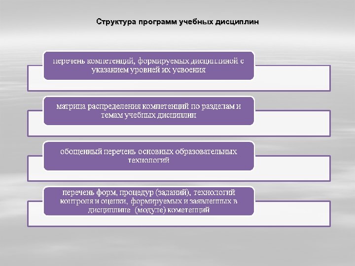 Структура программ учебных дисциплин 