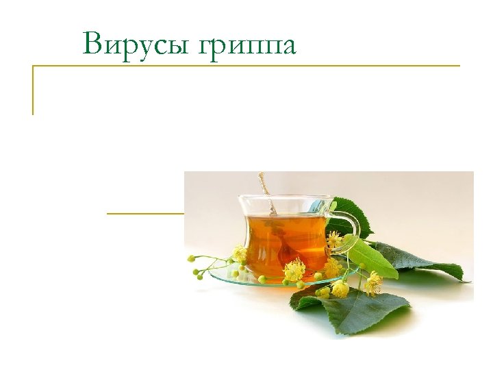 Вирусы гриппа 