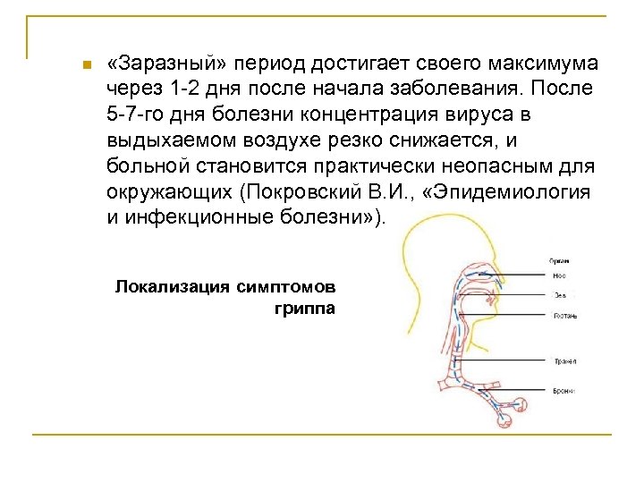 n «Заразный» период достигает своего максимума через 1 -2 дня после начала заболевания. После