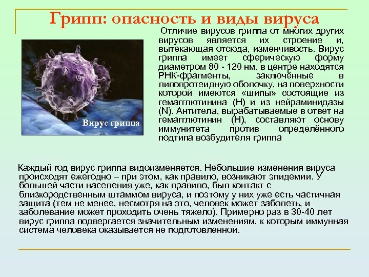 Грипп: опасность и виды вируса Вирус гриппа Отличие вирусов гриппа от многих других вирусов