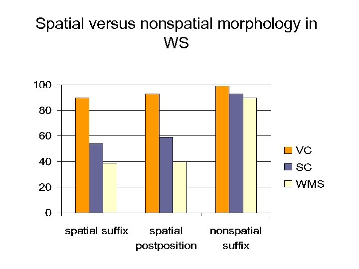 Spatial versus nonspatial morphology in WS 
