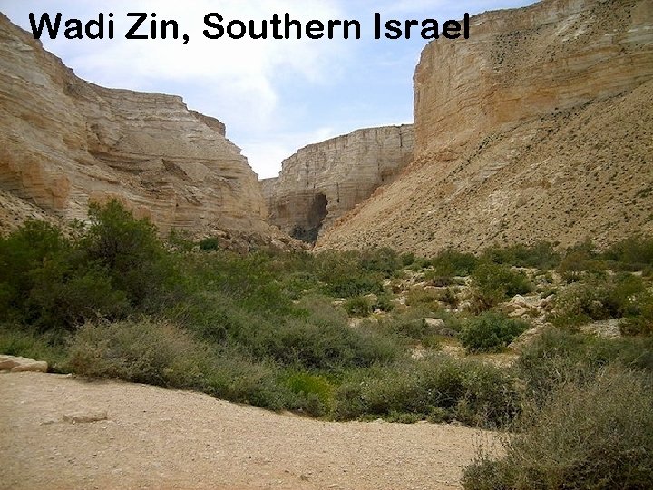 Wadi Zin, Southern Israel 