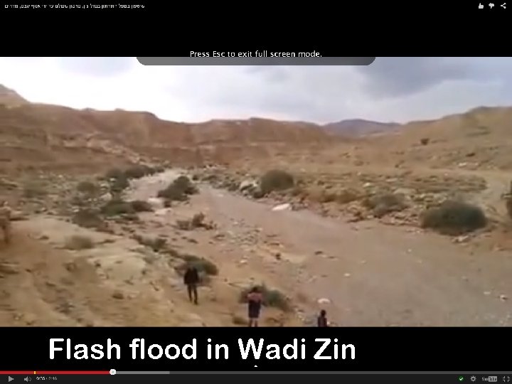 Flash flood in Wadi Zin 