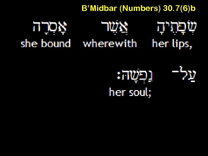 B’Midbar (Numbers) 30. 7(6)b 