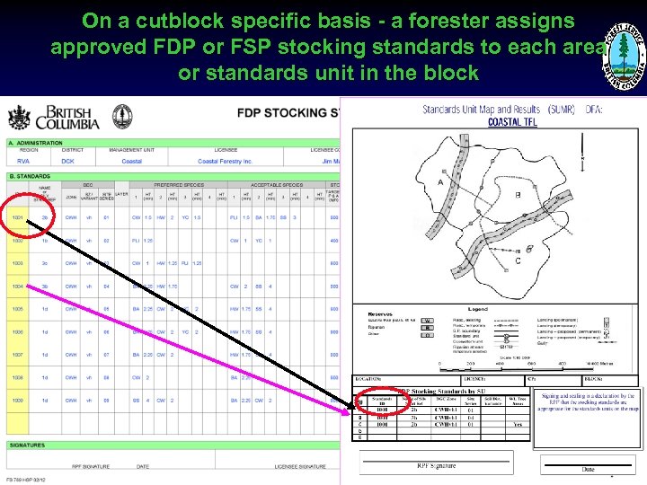 On a cutblock specific basis - a forester assigns approved FDP or FSP stocking