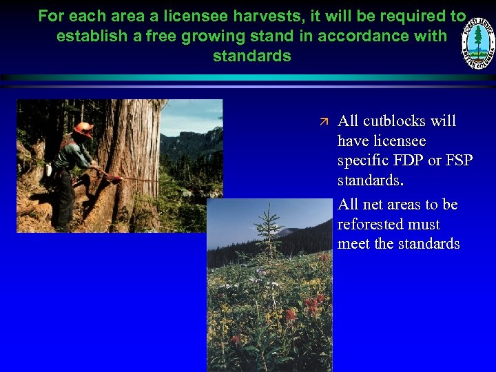 For each area a licensee harvests, it will be required to establish a free