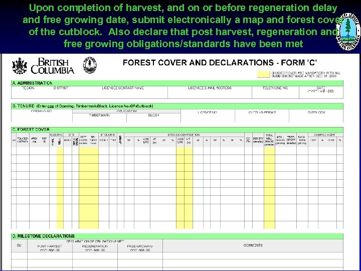 Upon completion of harvest, and on or before regeneration delay and free growing date,