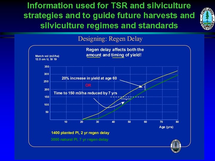 Information used for TSR and silviculture strategies and to guide future harvests and silviculture