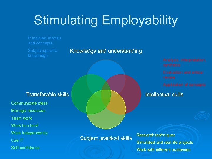 Stimulating Employability Principles, models and concepts Subject-specific knowledge Knowledge and understanding Analysis, interpretation, synthesis