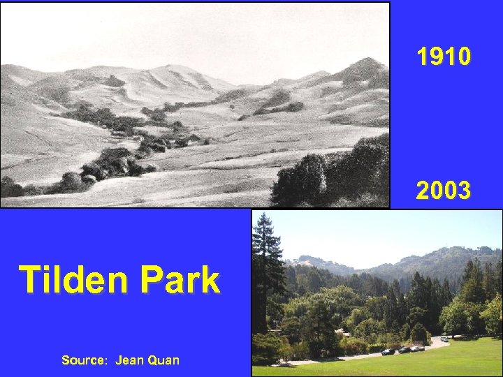 1910 2003 Tilden Park Source: Jean Quan 
