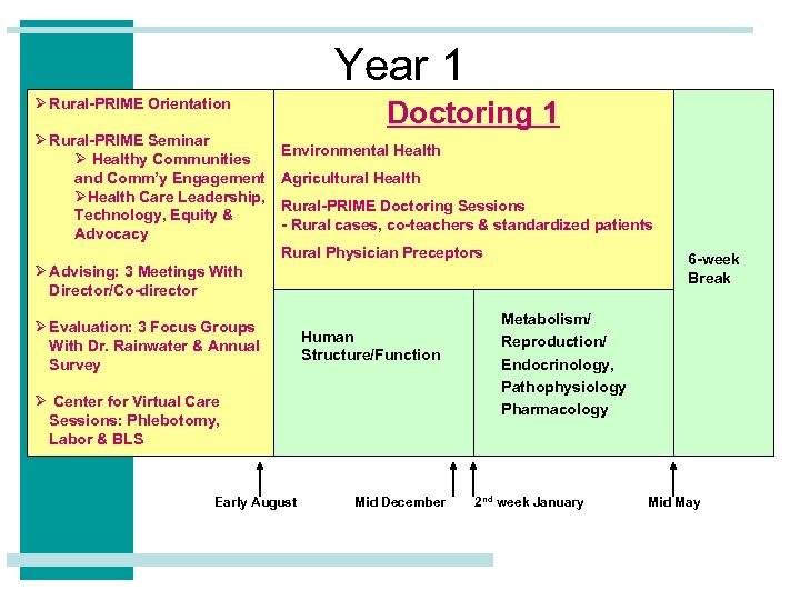 Year 1 Ø Rural-PRIME Orientation Ø Rural-PRIME Seminar Ø Healthy Communities and Comm’y Engagement