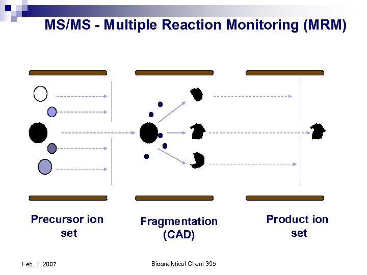 MS/MS - Multiple Reaction Monitoring (MRM) Precursor ion set Feb. 1, 2007 Fragmentation (CAD)