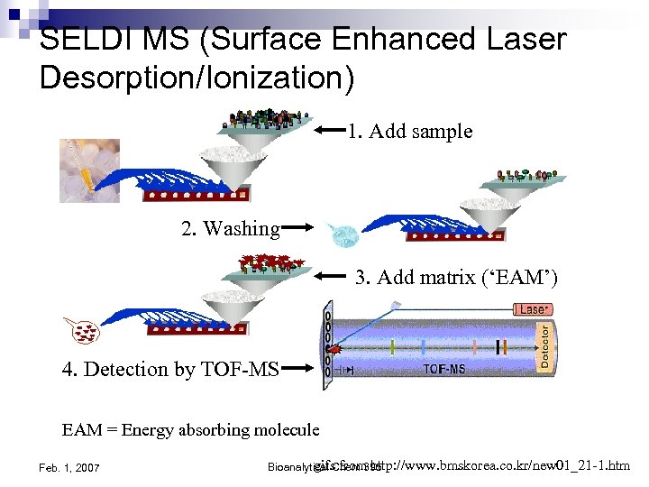 SELDI MS (Surface Enhanced Laser Desorption/Ionization) 1. Add sample 2. Washing 3. Add matrix